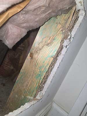 Wood Rot Repair Services
