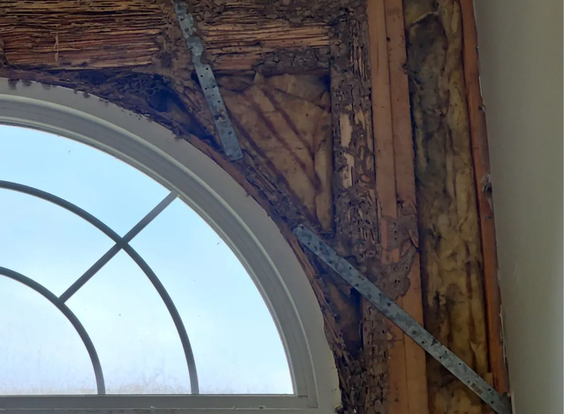 Termite Damage Repairs